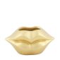 Lippen vaas goud